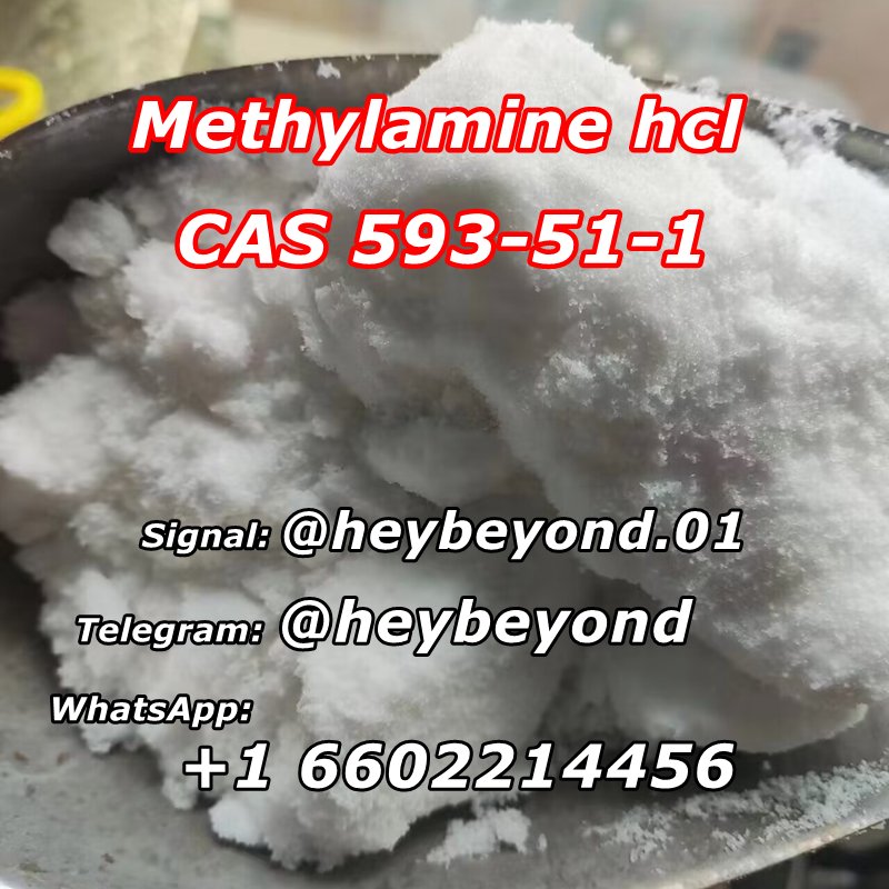 methylamine hydrochloride, cas 593-51-1