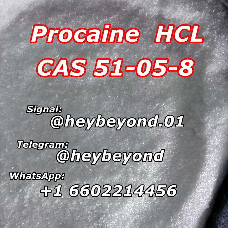 Procaine hcl crystal powder, Raw powder Procaine Hydrochloride price, cas 51-05-8, 51 05 8, Procaine hcl powder, Procaine Hydrochloride powder, Procaine Hydrochloride crystal powder, Procaine Hydrochloride factory, Procaine Hydrochloride manufacturer, procaine pwoder, procaine price, procaine crystal, procaine hcl crystaline, procaine crystal